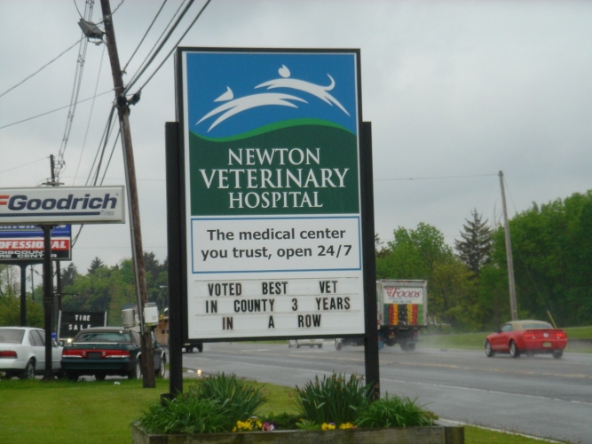 Pylon (Free Standing Sign)